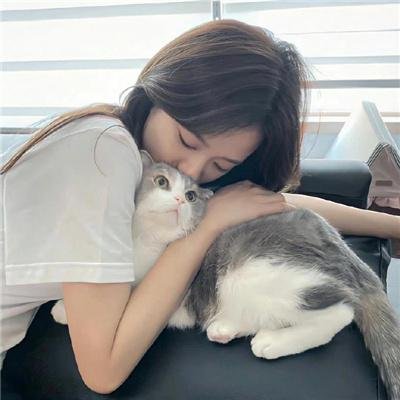费迪、结他与海